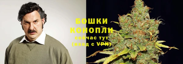 spice Верея