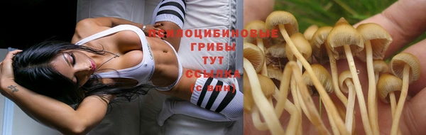 стаф Верхний Тагил