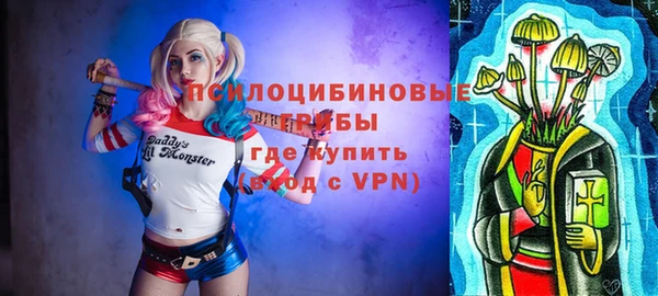 spice Верея