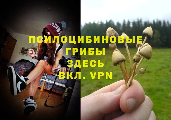 spice Верея