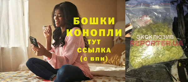 spice Верея