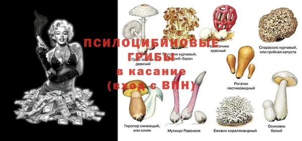 стаф Верхний Тагил