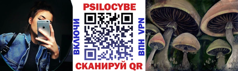 даркнет Telegram  Армавир  Псилоцибиновые грибы Psilocybine cubensis 